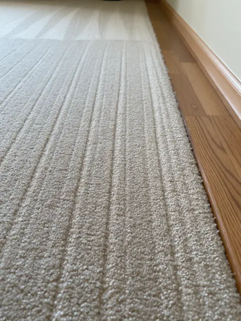 Vacuum lines after a Bubble's Sparkle clean